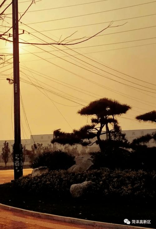 落日余晖下的城市街道