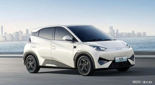 比亚迪限时补贴来袭，智驾版车型6.38万元起，不靠国补也能卷翻市场！