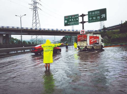 珠江防洪堤坝巡查现场