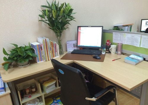 教师加班费拖欠8个月？教育局回应背后真相曝光！