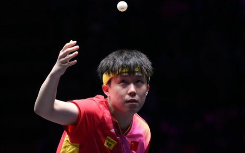 球迷热情支持王楚钦