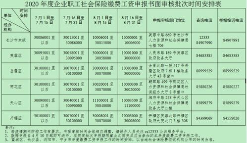 社保申报职工明细示意图