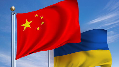 中巴两国国旗并列