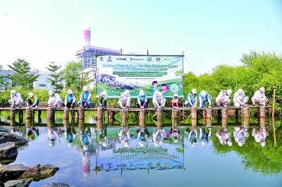 从印尼珊瑚到挪威峡湾，中能耀信让碳中和成果看得见、摸得着｜零碳体验官亲历记