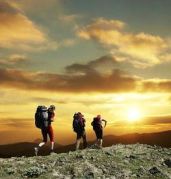 “我”为何开始向往没有网络的生活？一位IT青年的内心独白