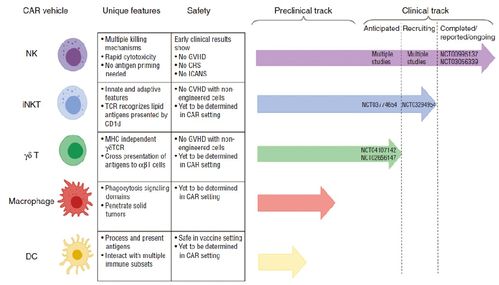 CAR-NK疗法在临床中的治疗效果对比图