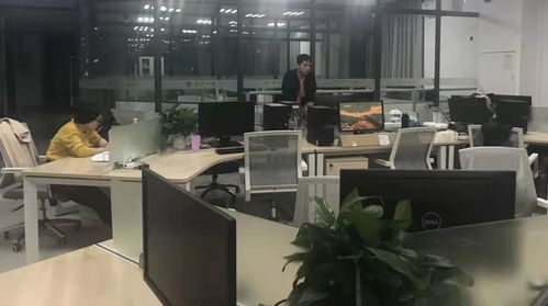 办公室内的印度裔程序员工作场景