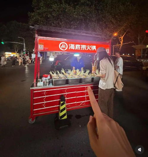 海底捞路边摊惊现街头，网友：这是真的吗？