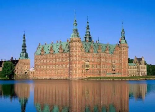 哈佛留学生上演大逃亡？背后真相竟出乎意料！