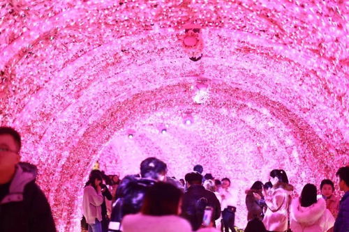 观众席灯光闪烁如星海