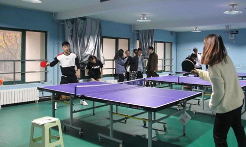 王曼昱蒯曼vs波尔卡诺娃斯佐科斯：微博热搜背后的国乒混双对决全解析