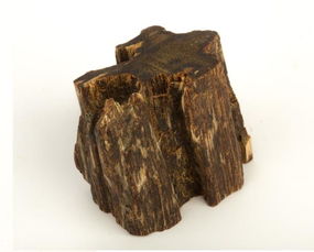 绿奇楠沉香实物展示