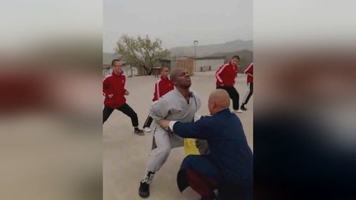 甲亢哥与少林武僧互动