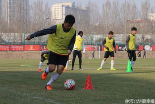 莎头组合在训练场上专注备战