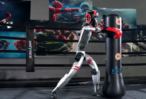 人形机器人正在进行格斗动作展示