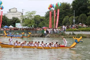 龙舟赛看得人热血沸腾，我在现场见证水上速度与激情！