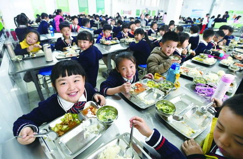孩子们在学校食堂用餐温馨画面