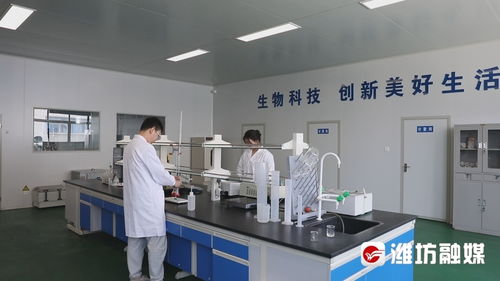 科研人员在实验室进行CAR-NK细胞培养实验