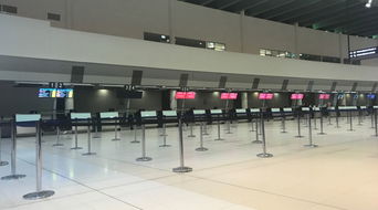 留学生在机场准备回国的照片