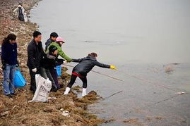 志愿者清理防鸟网