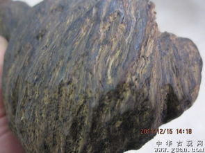 奇楠沉香原木特写