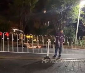 小区地灯附近有孩子倒地现场照片