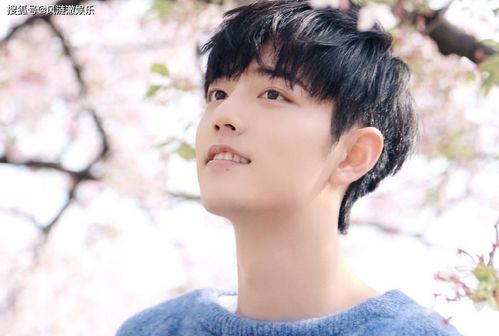 肖战认真读剧本侧脸照