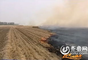 南阳宛城麦田起火？真相曝光，又是网络谣言惹的祸！