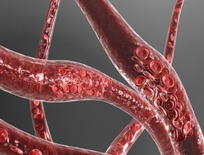 冷水引起血管收缩示意图