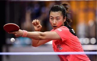 陈幸同VS王曼昱！国乒内战引热议，网友：这才是真正的巅峰对决