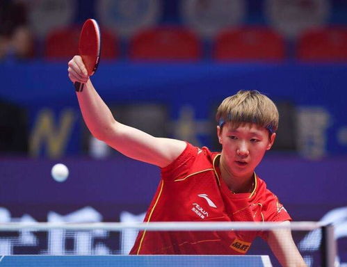 孙颖莎与王曼昱赛场对决瞬间