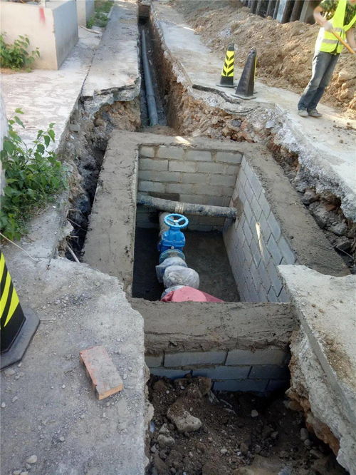 老旧管道井口的蚂蚁入口