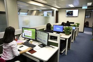 政府工作人员正在简化办公流程