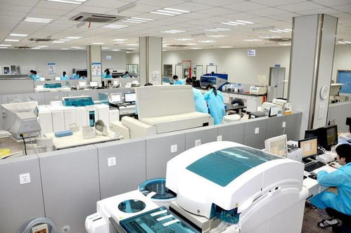 安必平AI医疗实验室场景