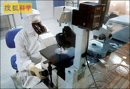 科学家在实验室研究干细胞