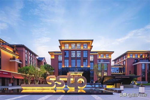 稳企护航有实招，政策落地见真章｜头条X深度解读