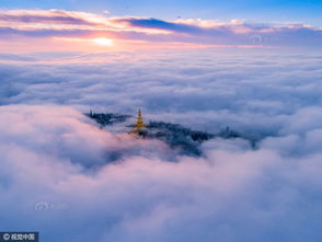 一只狐狸在云雾缭绕的山顶仰望星空