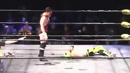 选手在八角笼中激烈缠斗