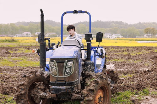 酒杯与文竹，盛满时光的容器
