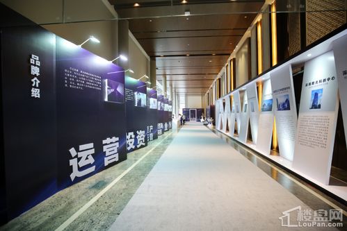 企业品牌展示区