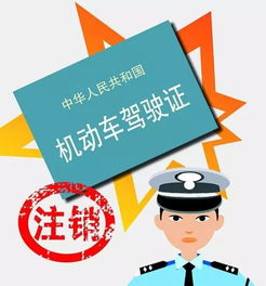 社会救助局账户未注销导致资金滞留问题曝光