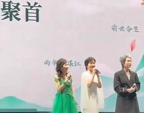 新白娘子传奇演唱会现场布置概念图