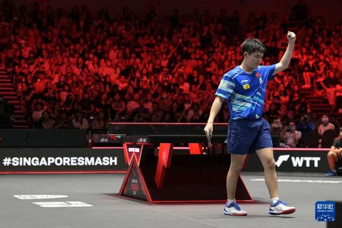 林诗栋赢得比赛后庆祝