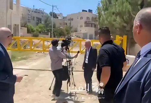 外交使团在杰宁难民营前开会