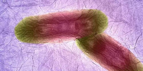 干细胞修复人体的奥秘：我亲身体验后的震撼真相