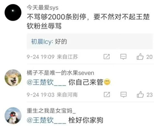 王楚钦在微博评论区与粉丝互动截图