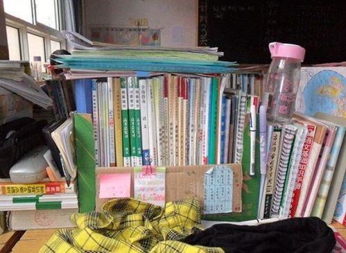 以优良作风奋进新征程：我的成长故事与奋斗足迹