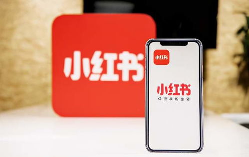 小红书品牌共创活动现场