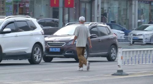 惊呆众人！5人共骑一辆电动车被罚，网友：这是杂技还是上路？