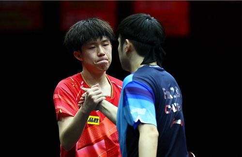 王楚钦与樊振东对决